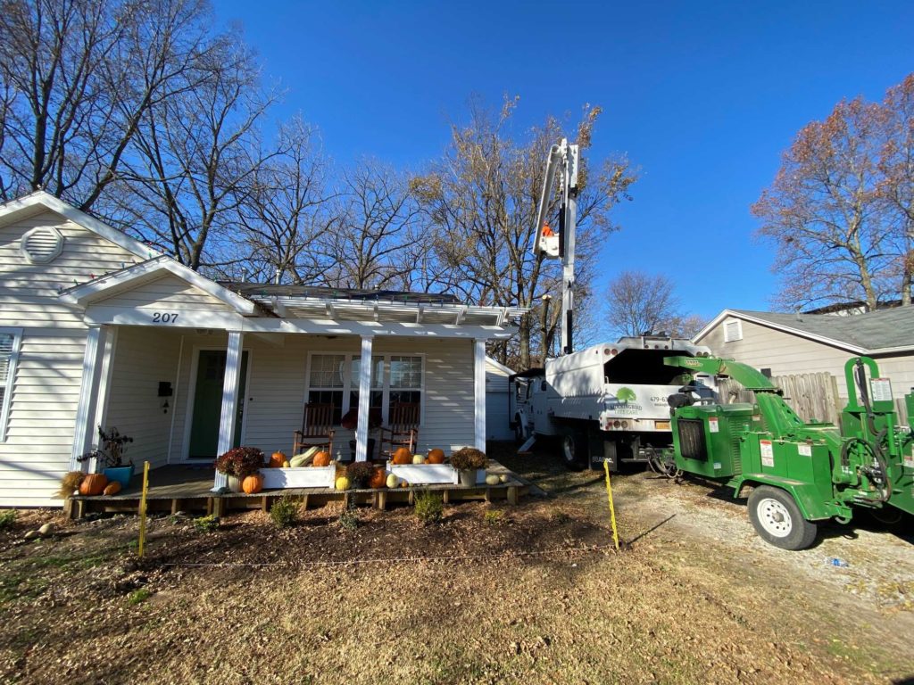 Bentonville tree removal